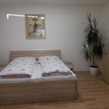 ליברץ Apartman Formanka מראה חיצוני תמונה