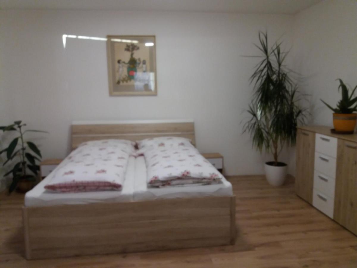 ליברץ Apartman Formanka מראה חיצוני תמונה